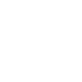 White Nissan Logo