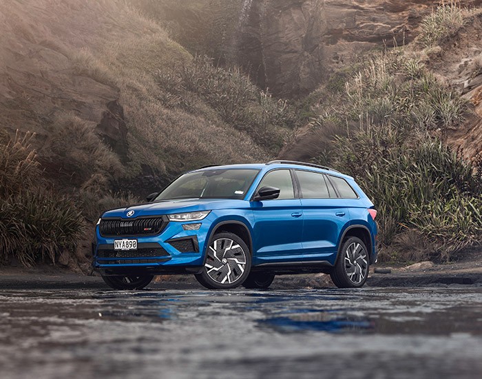 Blue Kodiaq RS parked on wet ground