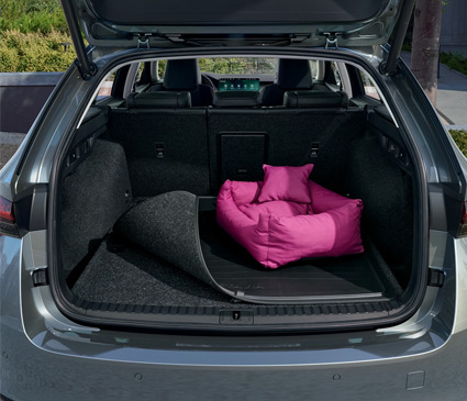 A dogs bed in the back of a Skoda wagon