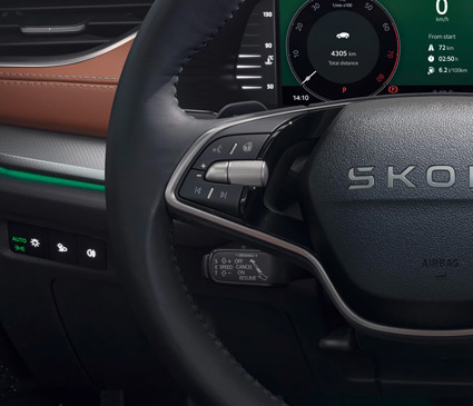 Skoda Steering wheel