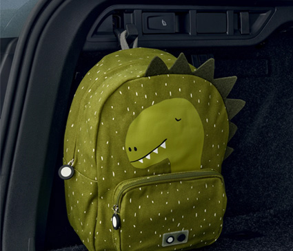 bag on a car boot hook