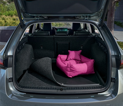 Suitcase held in place with cargo fasteners in a car book