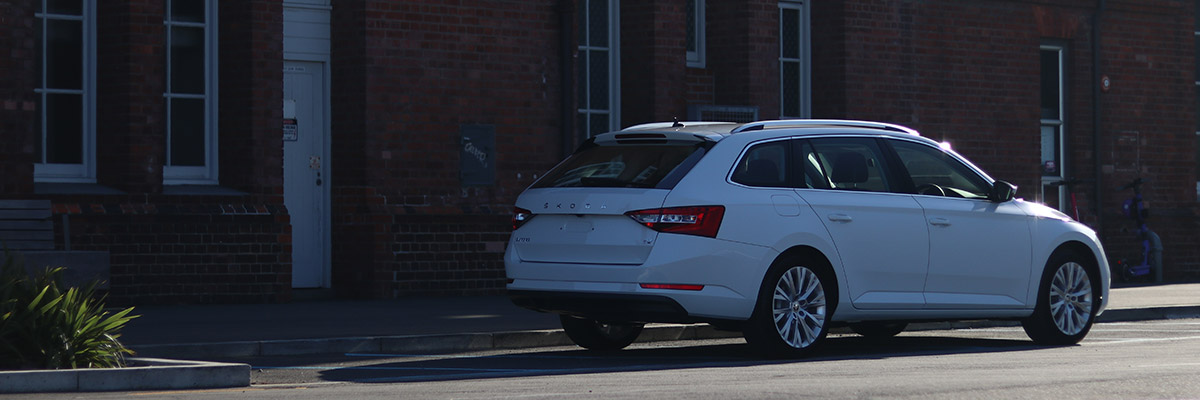 Rear side shot of white superb by a brick wall